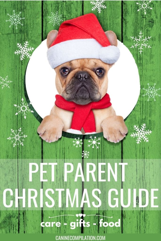 image of dog with text - Pet Parent Christmas Guide