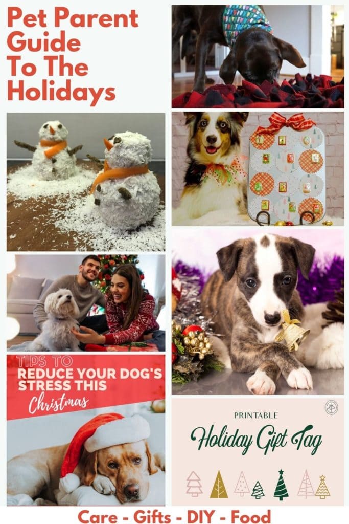 images of dogs with text - Pet Parent Christmas Guide