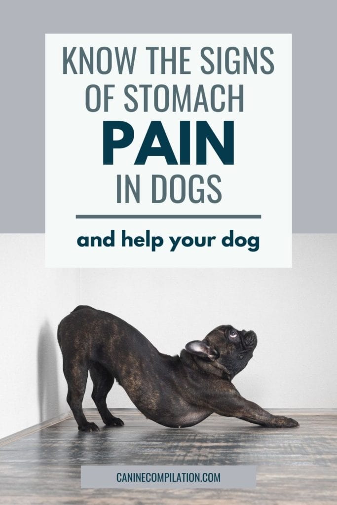 what are signs of pancreatitis in dogs