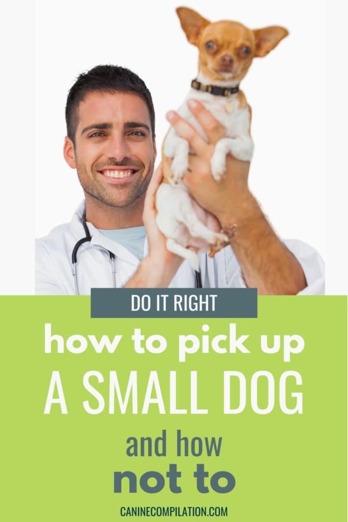 what is the proper way to pick up a dog