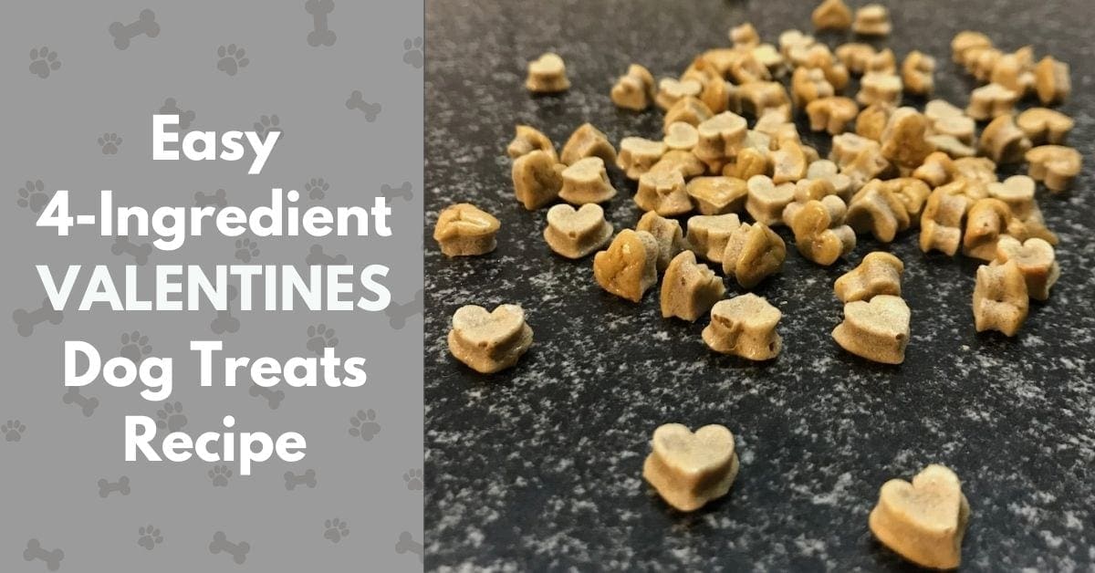 Easy 4Ingredient Valentines Dog Treats Recipe Canine Compilation
