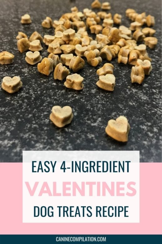 Easy 4Ingredient Valentines Dog Treats Recipe Canine Compilation