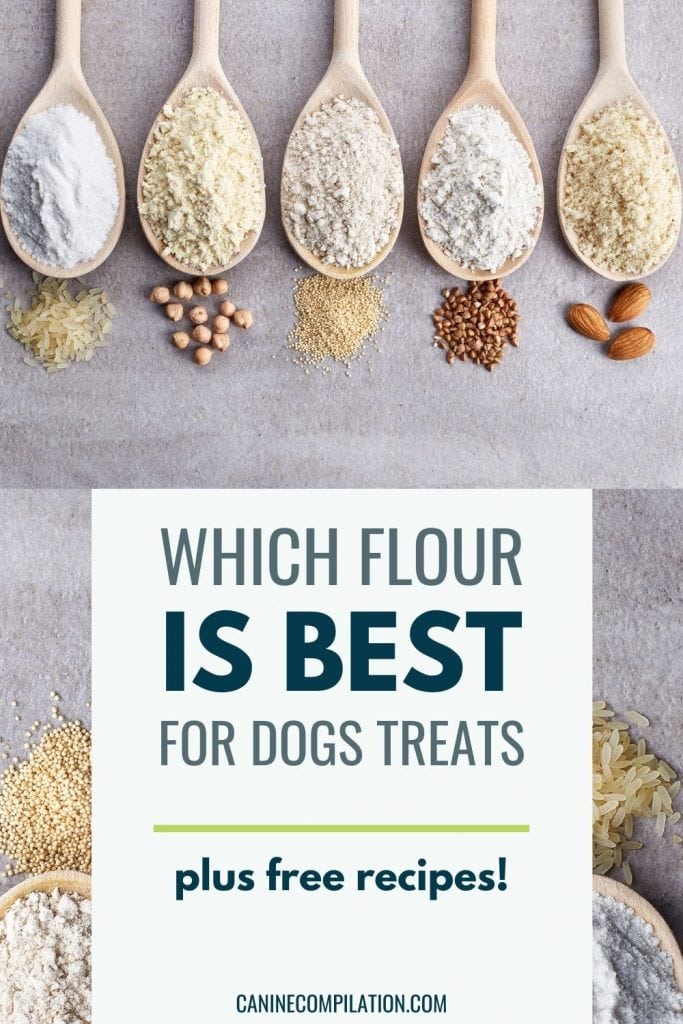 non grain flour for dogs