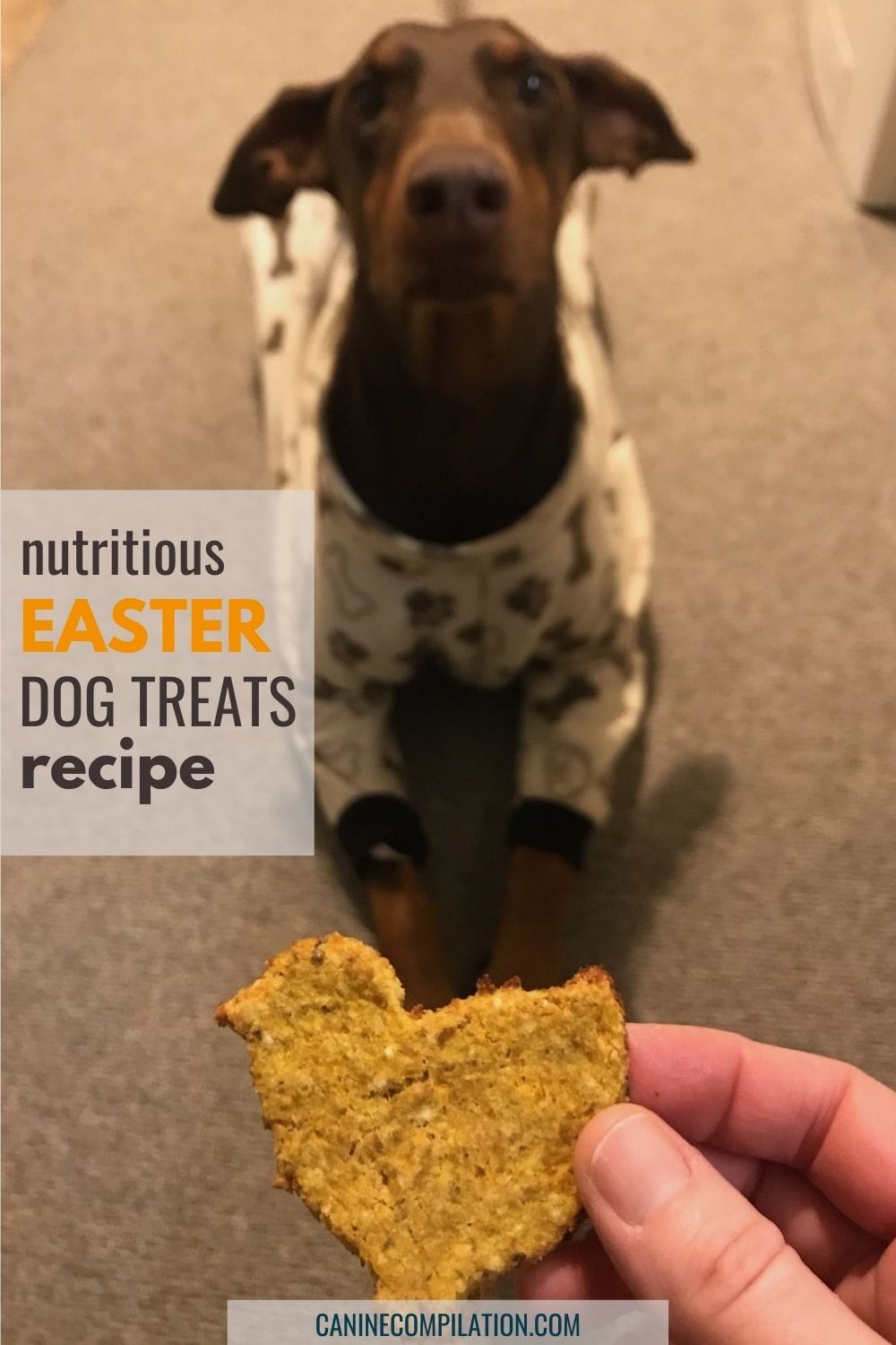 Healthy, Easter Dog Treats 3ingredient Easy Recipe Canine Compilation