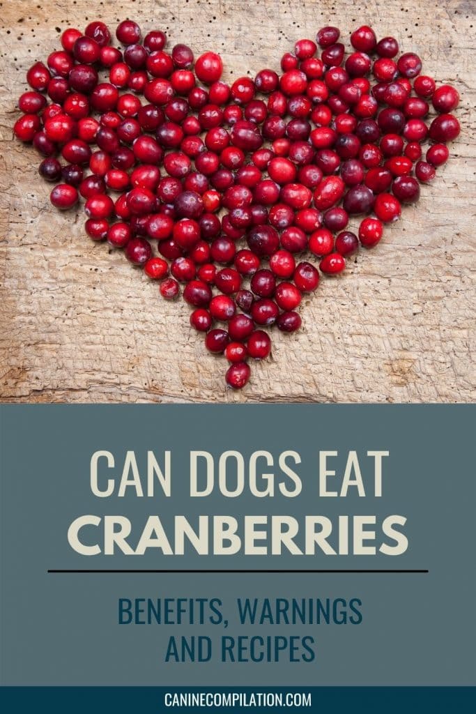 are raw cranberries good for dogs