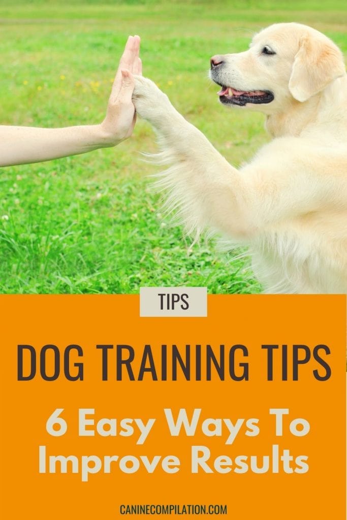 Photo of a dog with paw touching someone's hand and text- Dog training tips, 6 easy ways to improve results