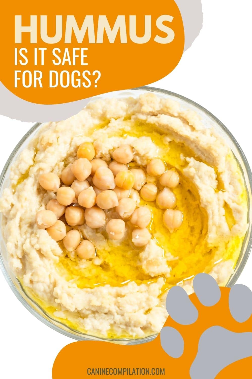 Can Dogs Eat Hummus The Health Benefits and Risks Canine Compilation