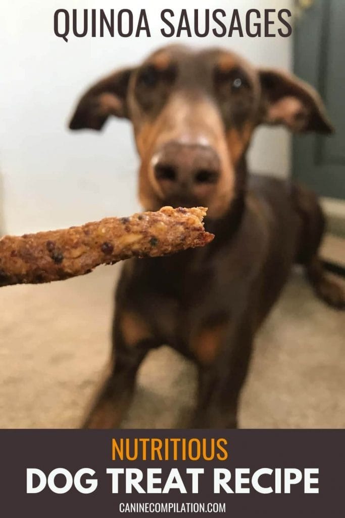dog eating quinoa treats