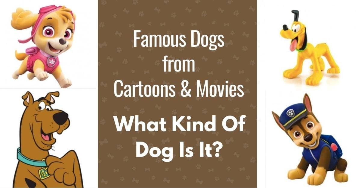 Famous Dogs from Cartoons: What Kind Of Dog Is It? - Canine Compilation