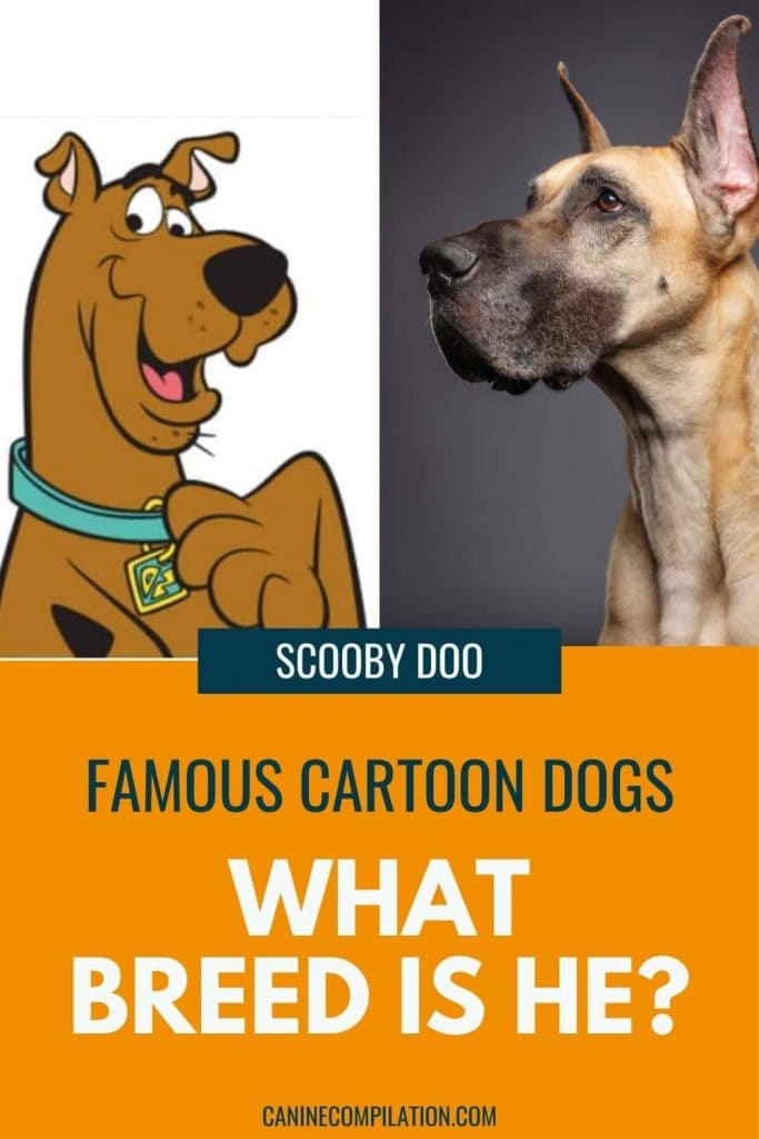 Famous Dogs from Cartoons: What Kind Of Dog Is It? - Canine Compilation