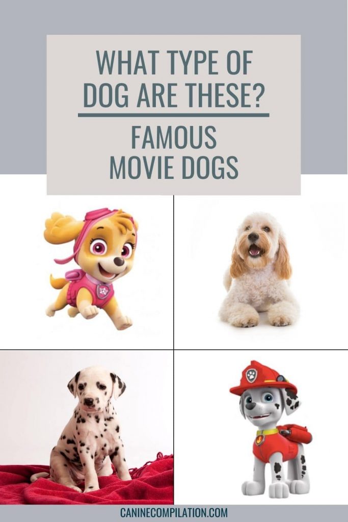 Scooby Doo, Paw Patrol dogs and Pluto