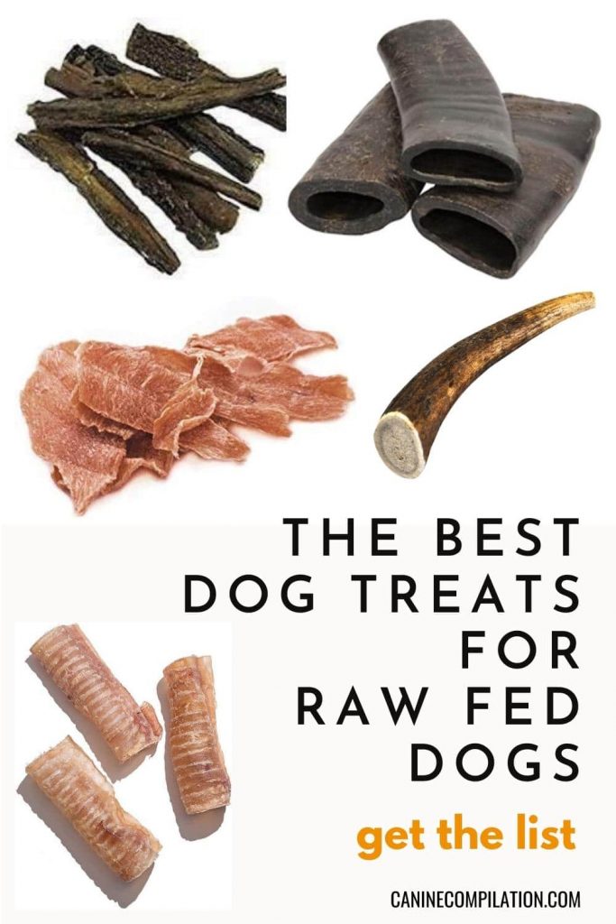 raw dog treats
