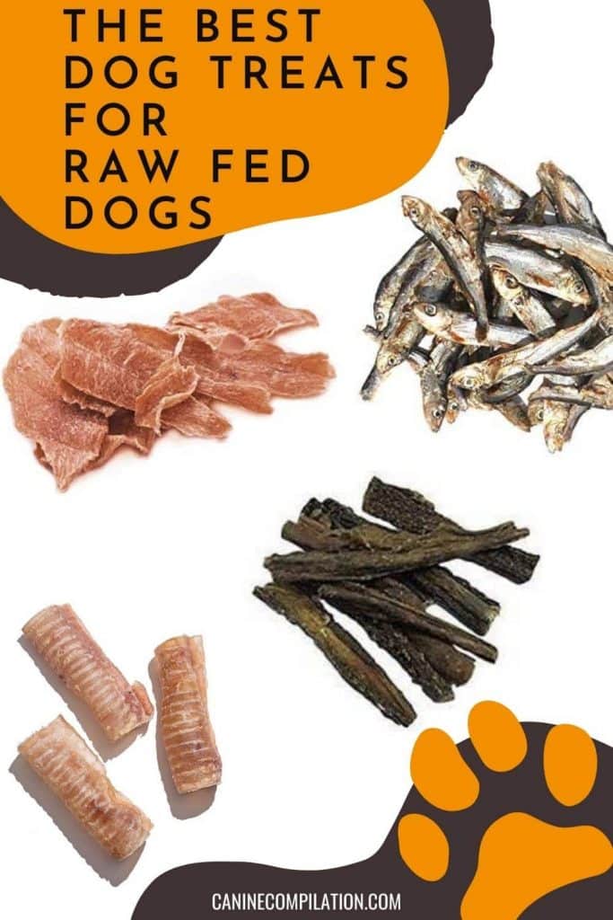 treats for raw fed dogs