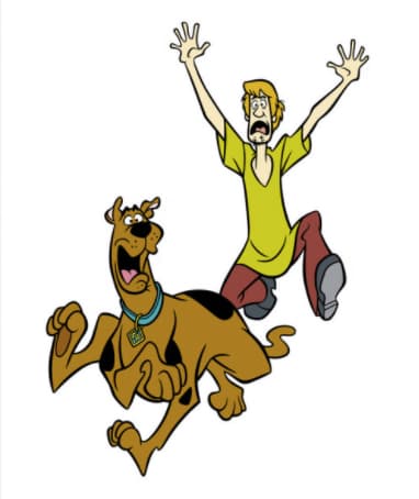 scooby doo and shaggy