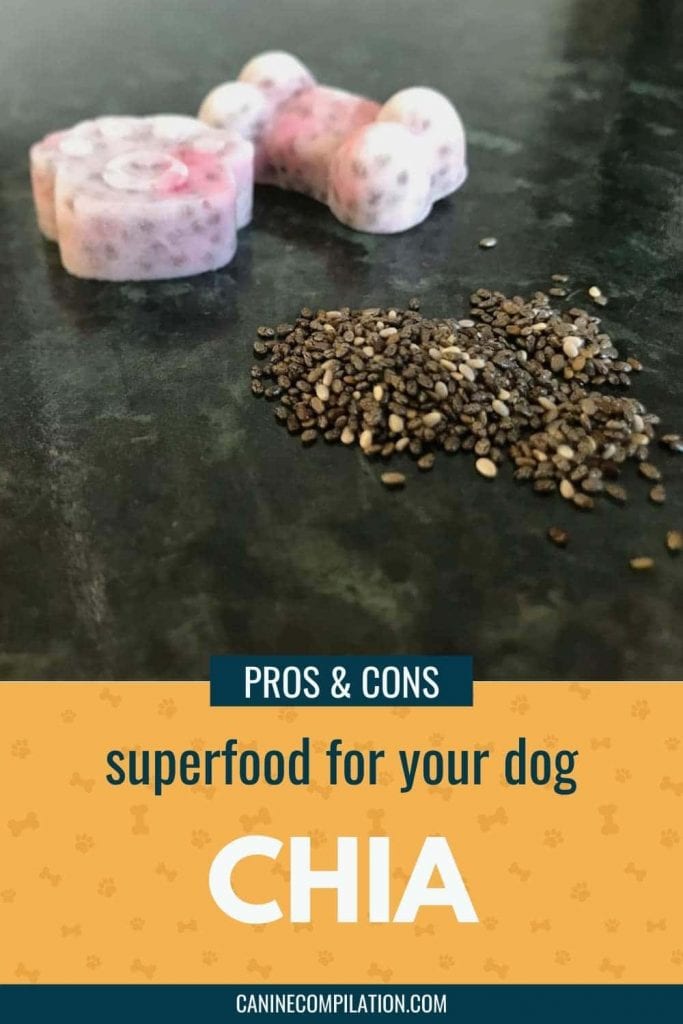 are chia seeds good for dogs