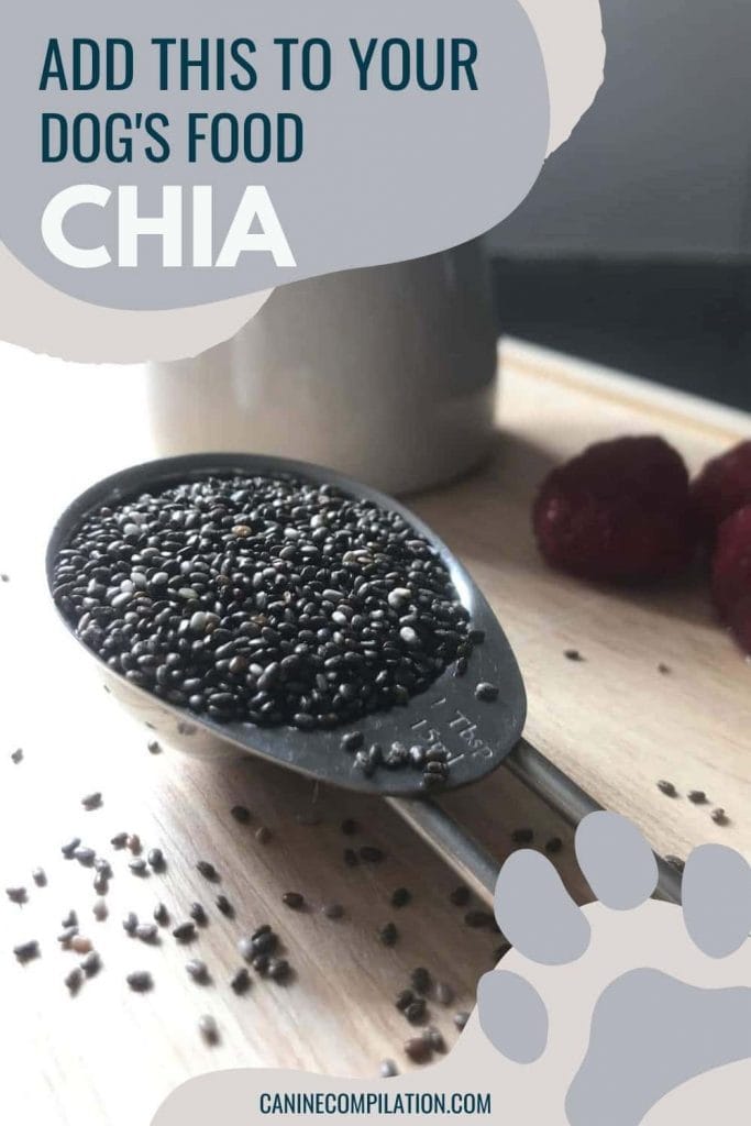 can a dog eat chia seeds