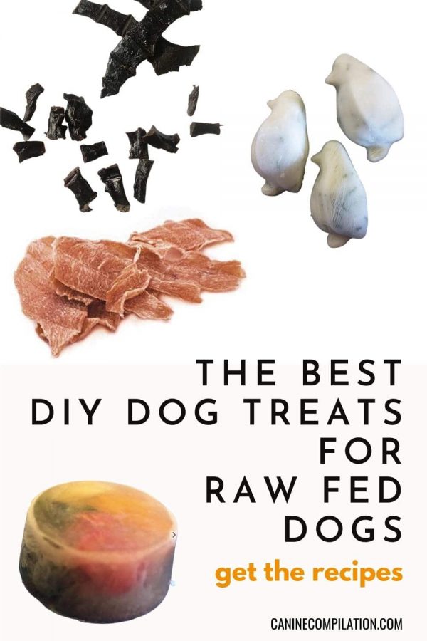 Best Homemade Raw Dog Treats Canine Compilation