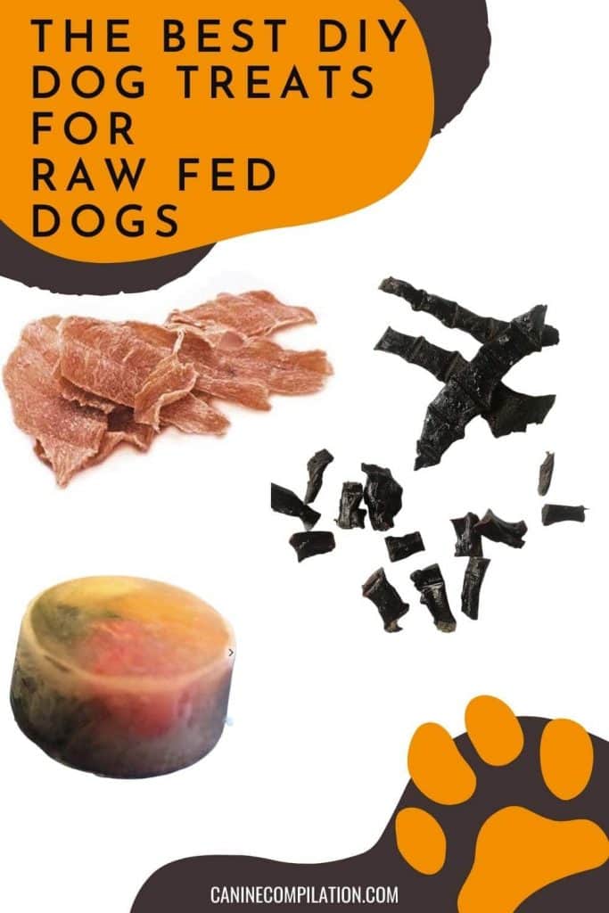 Treats for raw outlet fed dogs