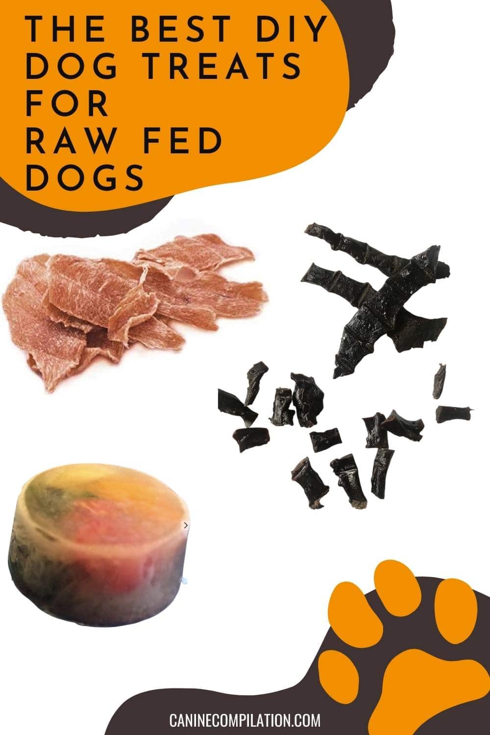 Best Homemade Raw Dog Treats Canine Compilation