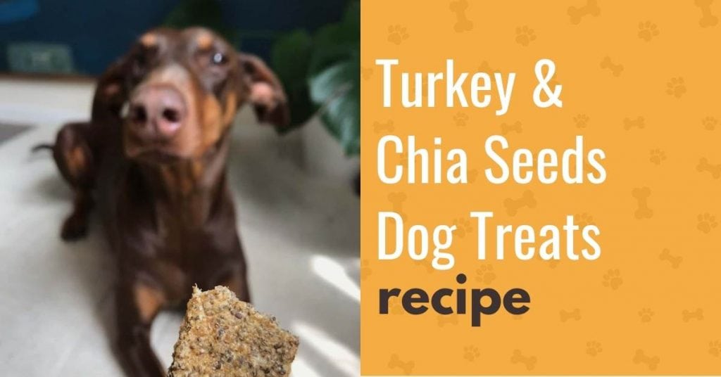 turkey and chia seeds dog treats
