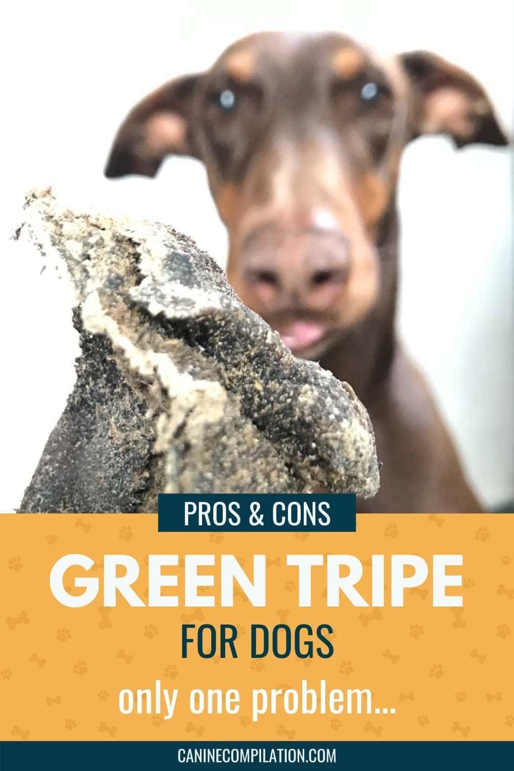 Bleached Tripe vs Green Tripe for Dogs: What's Best And Why? - Canine 