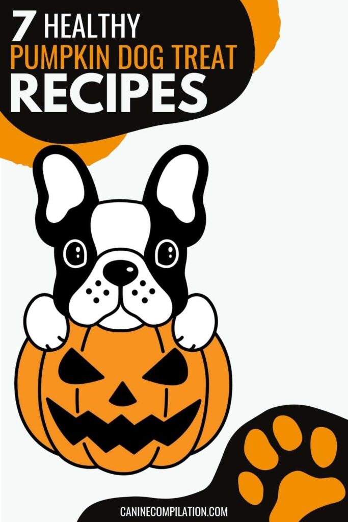 is pumpkin good for dogs with ibs