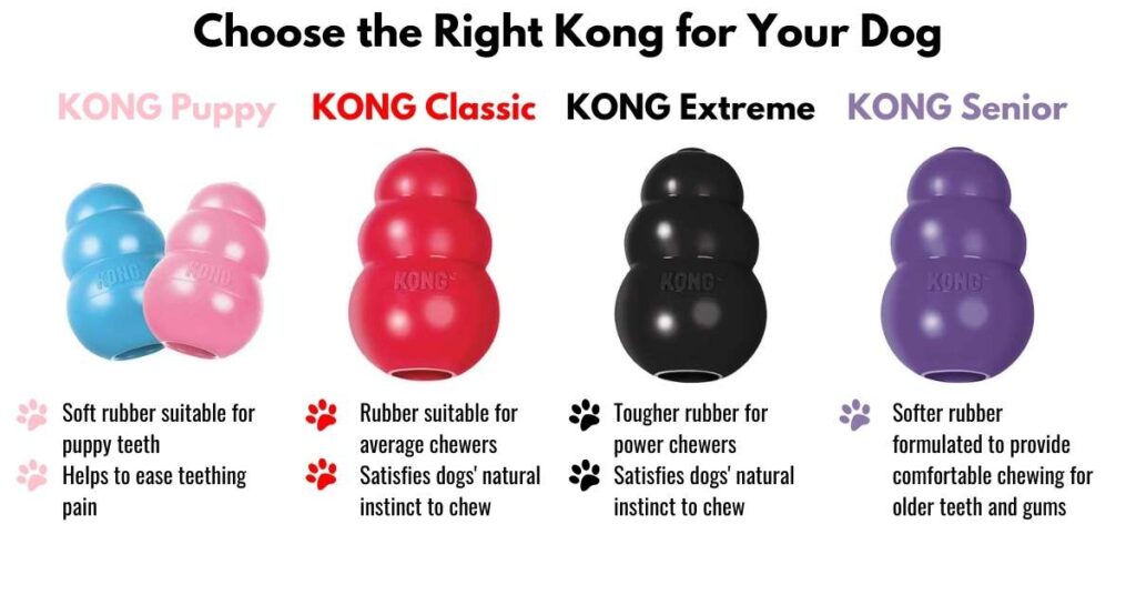 the 4 different types of Kongs for dogs