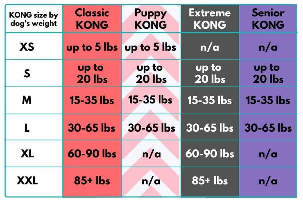 table showing different kong sizes