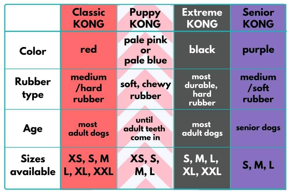 summary of types of kongs and sizes
