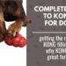 A Complete Guide to KONGS for Dogs: Sizes, Types, Fillings