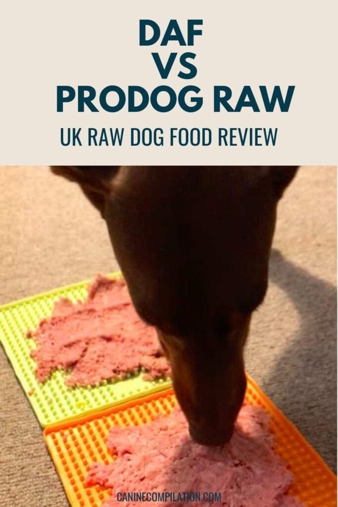 DAF raw dog food vs Prodog Raw