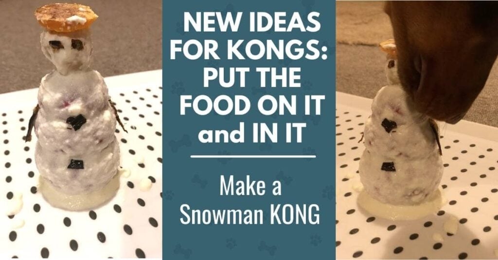 New ideas for KONG dog toys - put food on the outside and make a cute treat