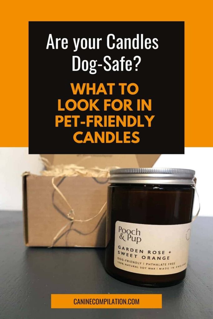 dog-friendly scented candle in eco packaging
