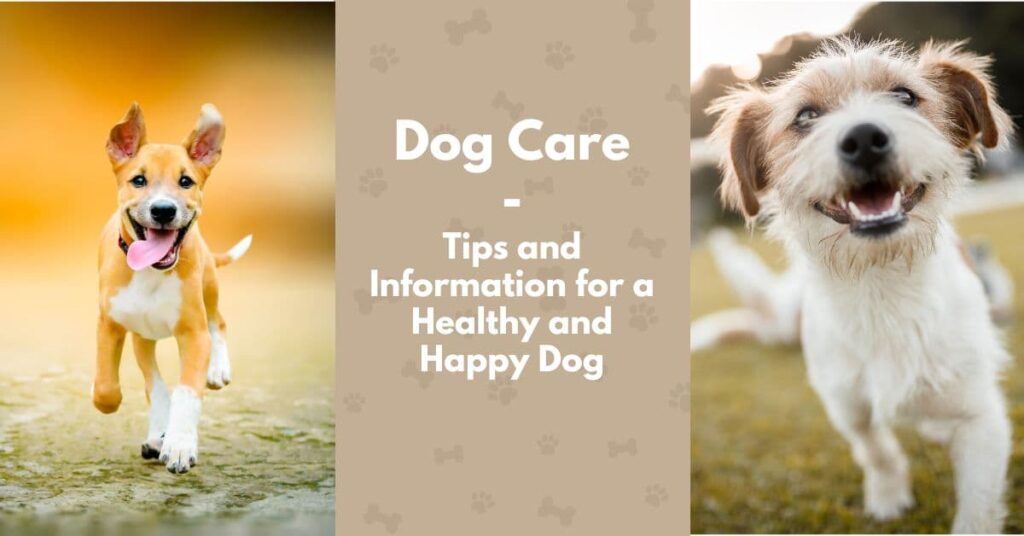 image of happy, healthy dogs, with text 'dog care: tips and information for a healthy and happy dog'
